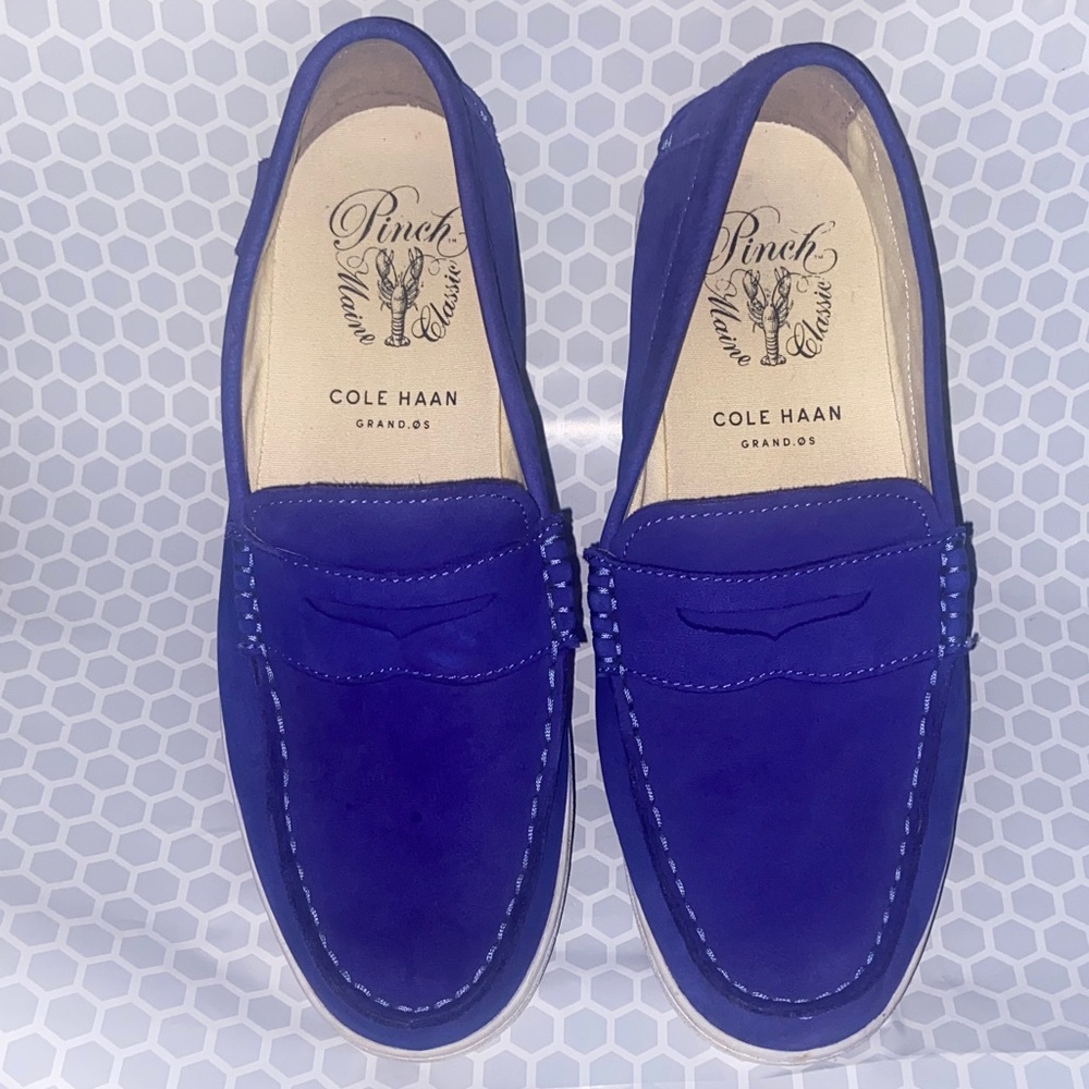 Cole Haan Men’s Royal Blue Suede Penny Loafers